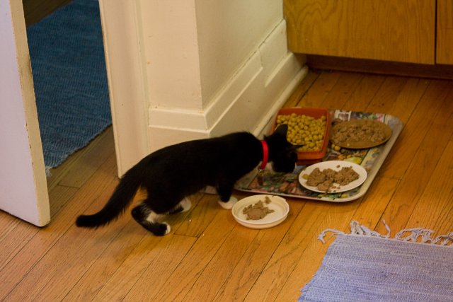 Misha_2008-07-10_IMG_0055